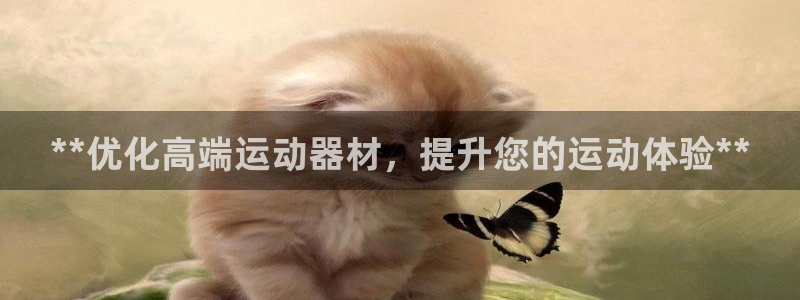 德国意昂3集团：**优化高端运动器材，提升您的运动体