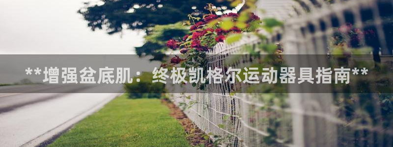 意昂体育3招商电话号码是多少啊：**增强盆底肌：终极