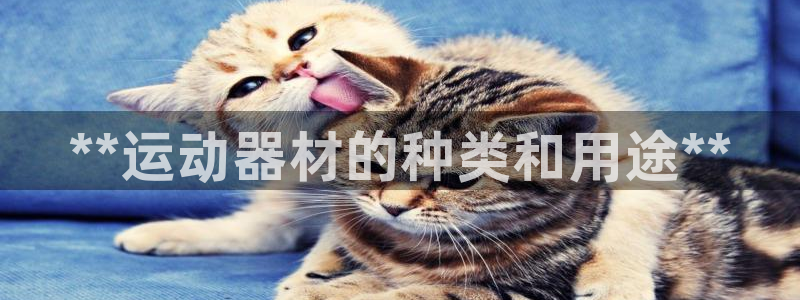 意昂体育3娱乐：**运动器材的种类和用途**