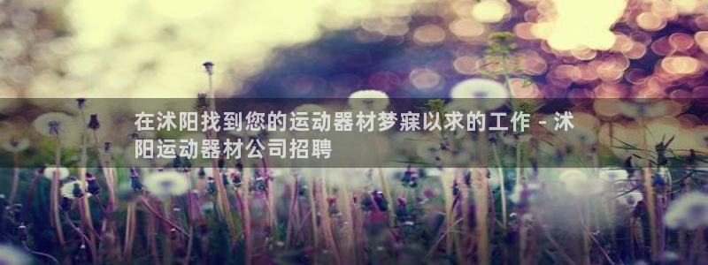 意昂3科技：在沭阳找到您的运动器材梦寐以求的工作 -