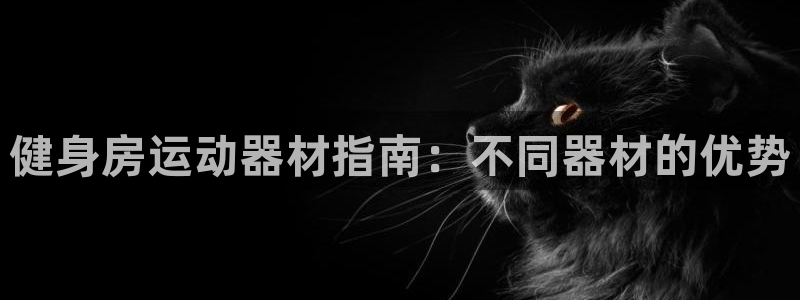 意昂体育3是干嘛的公司：健身房运动器材指南：不同器材