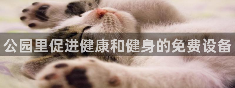 意昂3集团官网网址：公园里促进健康和健身的免费设备