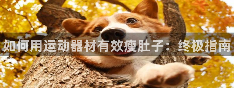 意昂3科技：如何用运动器材有效瘦肚子：终极指南