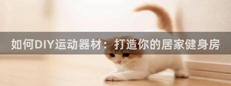 意昂体育3平台注册要钱吗安全吗：如何DIY运动器材：
