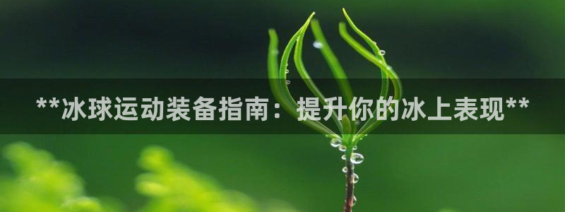 意昂3集团官网网址：**冰球运动装备指南：提升你的冰