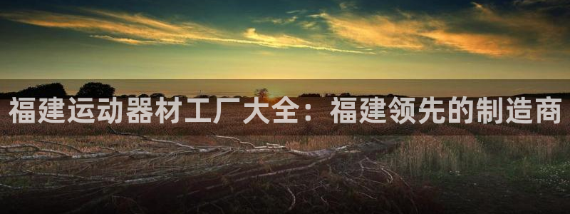 意昂3集团：福建运动器材工厂大全：福建领先的制造商