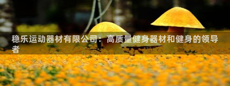 意昂体育3注册：稳乐运动器材有限公司：高质量健身器材