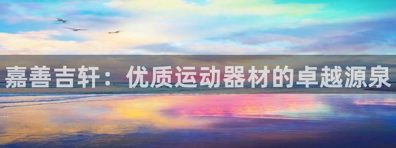 意昂体育3软件：嘉善吉轩：优质运动器材的卓越源泉