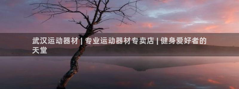 意昂3娱乐首页官网下载：武汉运动器材 | 专业运动器