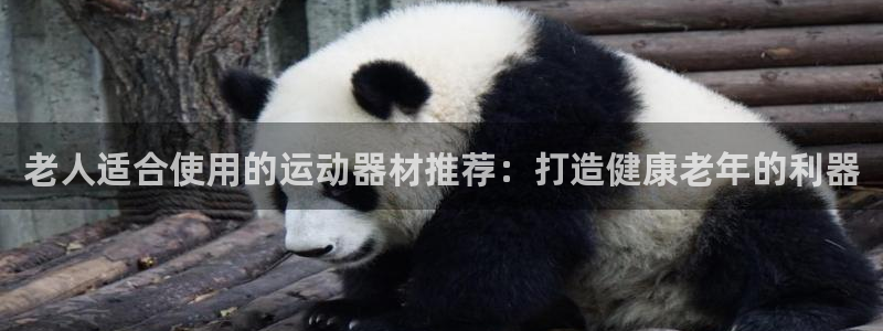 意昂体育3平台APP：老人适合使用的运动器材推荐：打