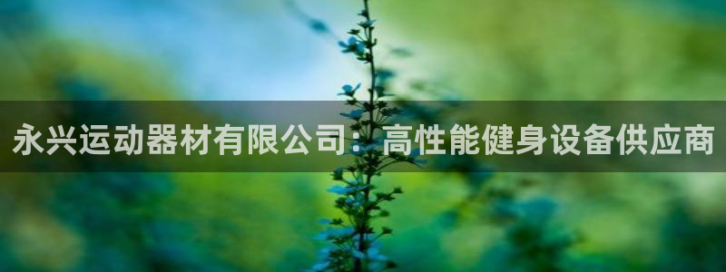 意昂体育3娱乐：永兴运动器材有限公司：高性能健身设备