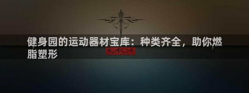 意昂体育3联系电话：健身园的运动器材宝库：种类齐全，