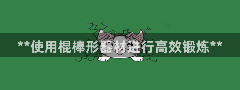 意昂体育3注册：**使用棍棒形器材进行高效锻炼**