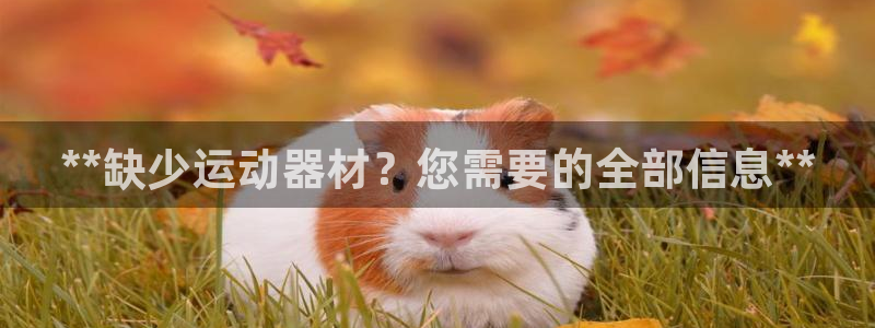 意昂体育3平台注册要钱吗安全吗：**缺少运动器材？您