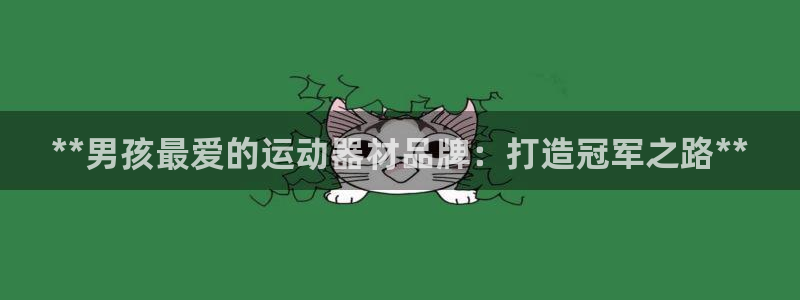 意昂体育3娱乐：**男孩最爱的运动器材品牌：打造冠军
