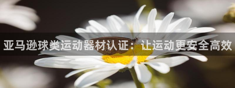 意昂体育3是干嘛的公司：亚马逊球类运动器材认证：让运
