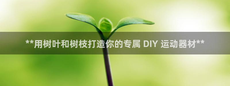 意昂体育3平台假的吗是真的吗：**用树叶和树枝打造你