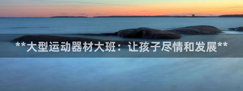 意昂体育3招商：**大型运动器材大班：让孩子尽情和发