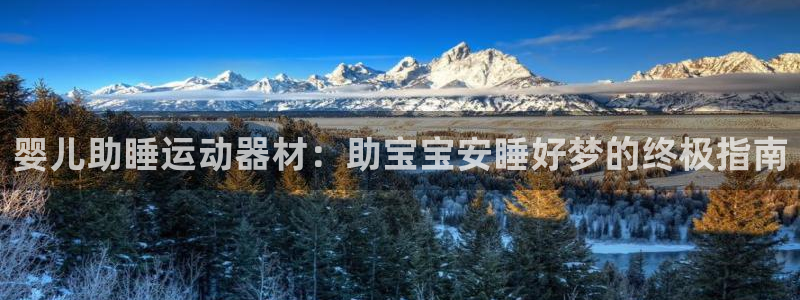 意昂体育3招商电话是多少号码：婴儿助睡运动器材：助宝