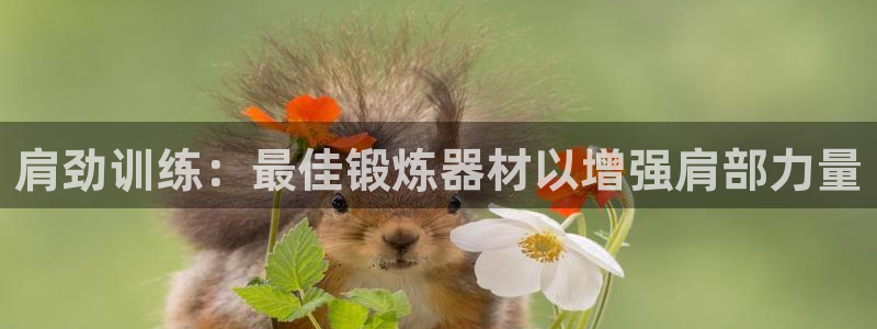 意昂体育3平台注册要钱吗安全吗：肩劲训练：最佳锻炼器