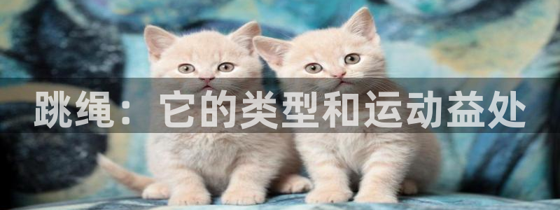 意昂3新能源：跳绳：它的类型和运动益处