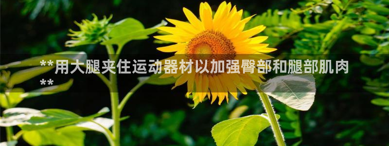 意昂体育3平台APP：**用大腿夹住运动器材以加强臀