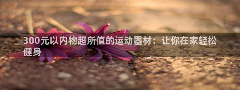 意昂3集团logo：300元以内物超所值的运动器材：