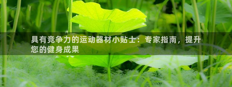 意昂体育3平台是正规平台吗安全吗：具有竞争力的运动器