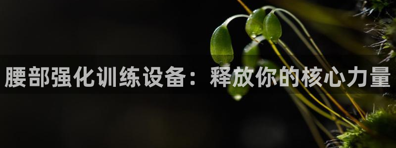 意昂3集团官网首页网址：腰部强化训练设备：释放你的核