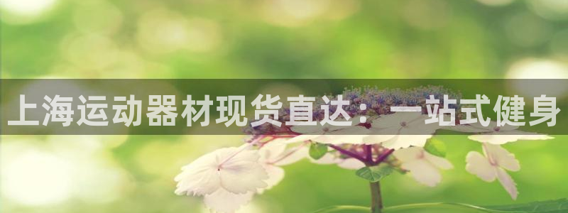 意昂体育3平台：上海运动器材现货直达：一站式健身