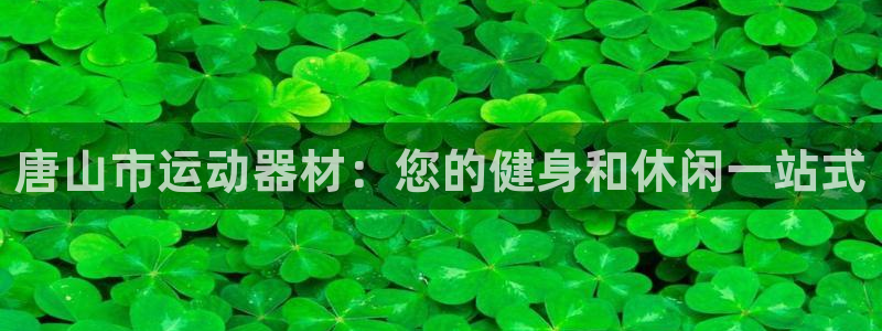 意昂体育3招商：唐山市运动器材：您的健身和休闲一站式