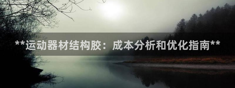 意昂3娱乐网站：**运动器材结构胶：成本分析和优化指