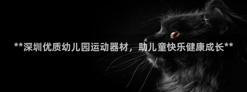 意昂体育3软件：**深圳优质幼儿园运动器材，助儿童快