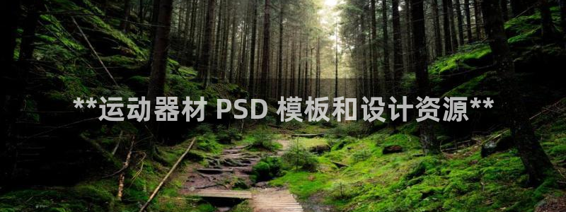 意昂3集团E.ON：**运动器材 PSD 模板和设计