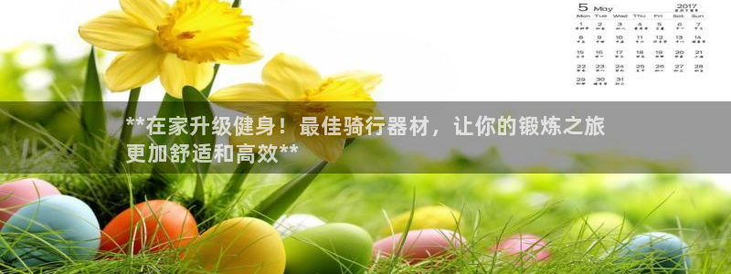 德国意昂3集团：**在家升级健身！最佳骑行器材，让你