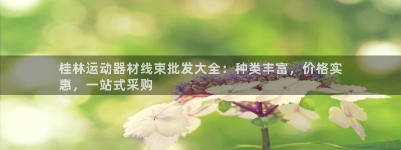 意昂体育3平台是正规平台吗：桂林运动器材线束批发大全