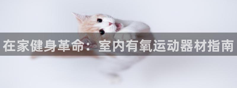 意昂体育3平台注册要钱吗：在家健身革命：室内有氧运动