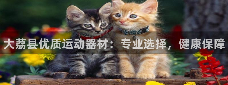 意昂3科技：大荔县优质运动器材：专业选择，健康保障