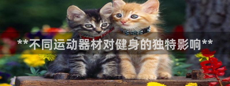 意昂体育3联系电话：**不同运动器材对健身的独特影响