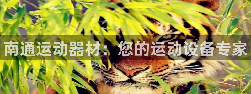 海南意昂体育3：南通运动器材：您的运动设备专家