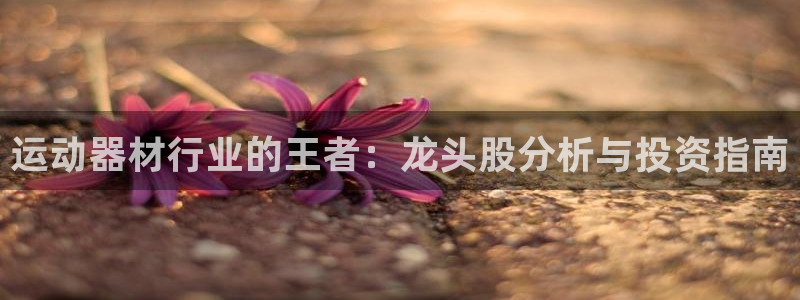 意昂体育3平台假的吗是真的吗吗：运动器材行业的王者：