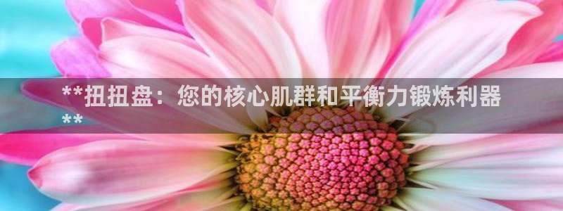 意昂体育3平台注册流程图：**扭扭盘：您的核心肌群和