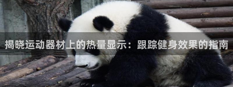 意昂体育3平台是正规平台吗知乎：揭晓运动器材上的热量