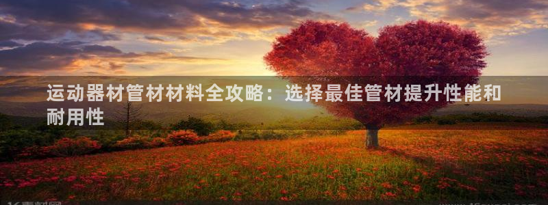 意昂3代理：运动器材管材材料全攻略：选择最佳管材提升