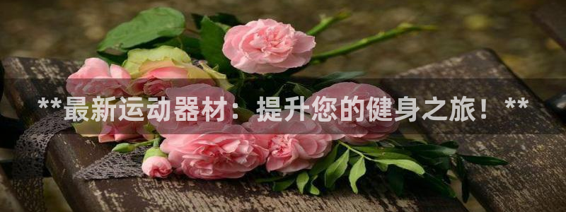 意昂3集团官网网址：**最新运动器材：提升您的健身之