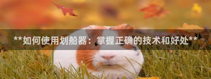 意昂体育3开户：**如何使用划船器：掌握正确的技术和