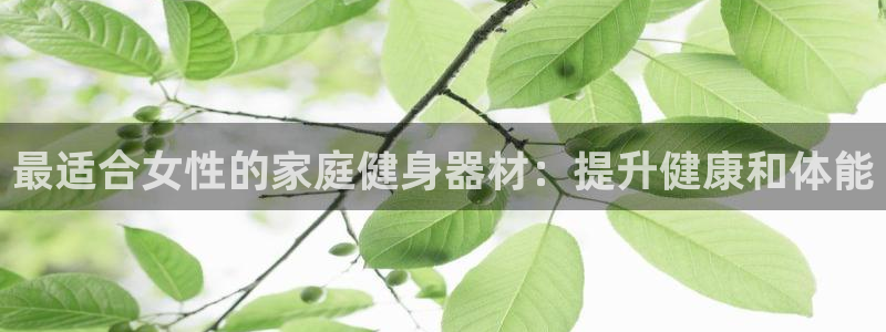 意昂3娱乐网站：最适合女性的家庭健身器材：提升健康和