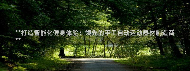 意昂体育3娱乐：**打造智能化健身体验：领先的手工自