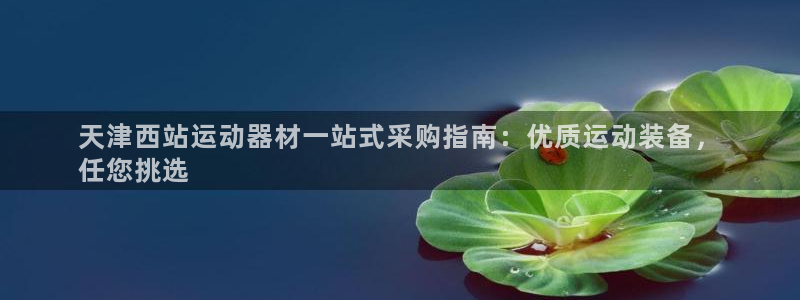 意昂3娱乐下载：天津西站运动器材一站式采购指南：优质