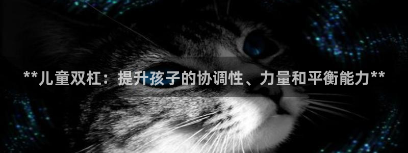 意昂体育3平台注册要钱吗安全吗：**儿童双杠：提升孩